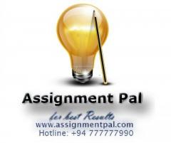 Assignment Writing, Editing Service