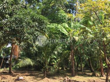 Kurunegala Land For Sale