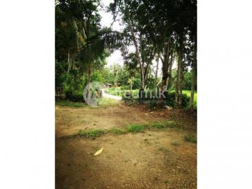 නිවස සහ ඉඩම විකිනීමට ඇත. House & land for sale Matara  - Akuressa