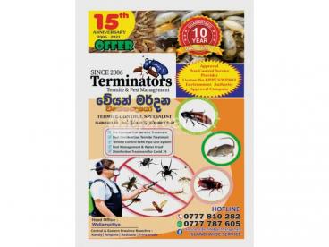 Termite & Pest Management
