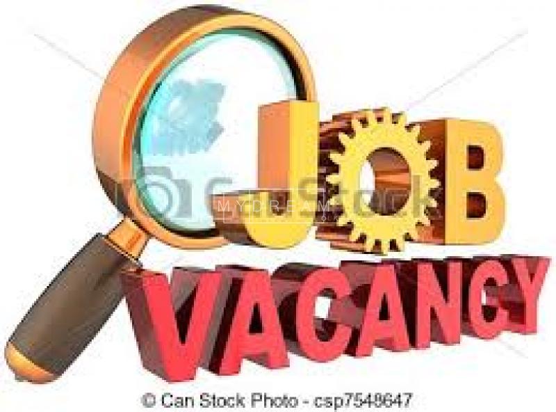 Banking / Insurance Looking For Trainee Banking Assistant Vacancies
