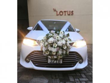 Daffodils wedding cars