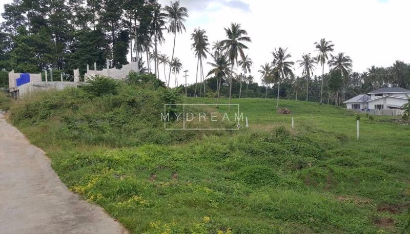 Land Land in kandana for Sale Mydream.lk